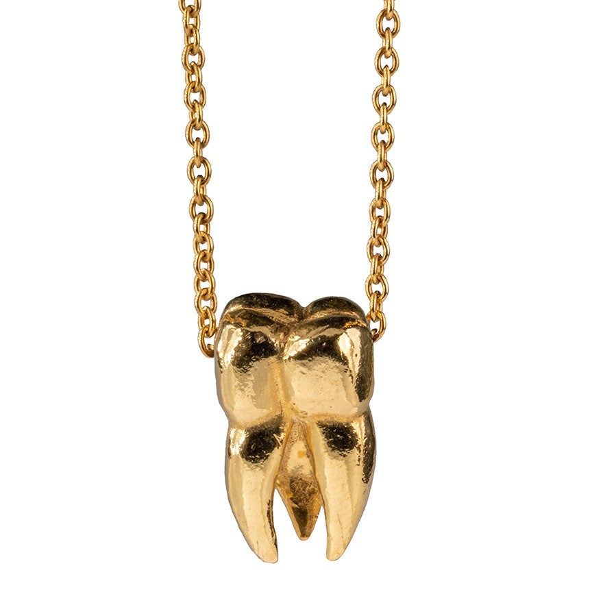 Gold Vermeil Tooth Necklace